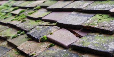 Wick St Lawrence roof repair costs
